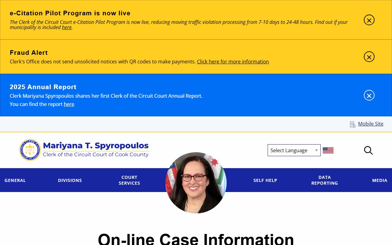 Clerk of the Circuit Court of Cook County online case information page with public access disclaimers